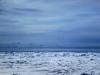 Sea Ice caption